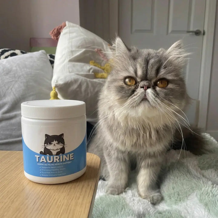 Review by Ulrike